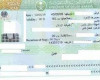 استخراج تاشيرات للمؤسسات