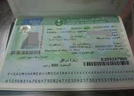 كيف يمكنني استخراج تاشيرة فردية